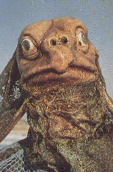 Sea Devils